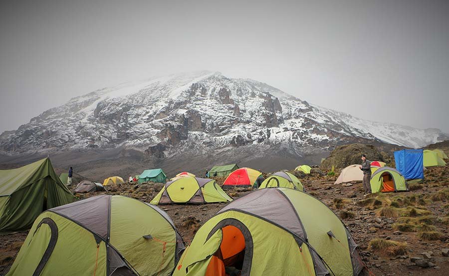 Day 2: From Forest Camp to Shira Camp